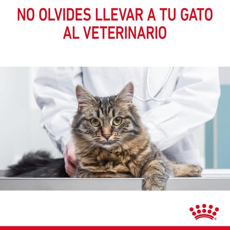 Royal Canin Urinary pienso para gatos, , large image number null